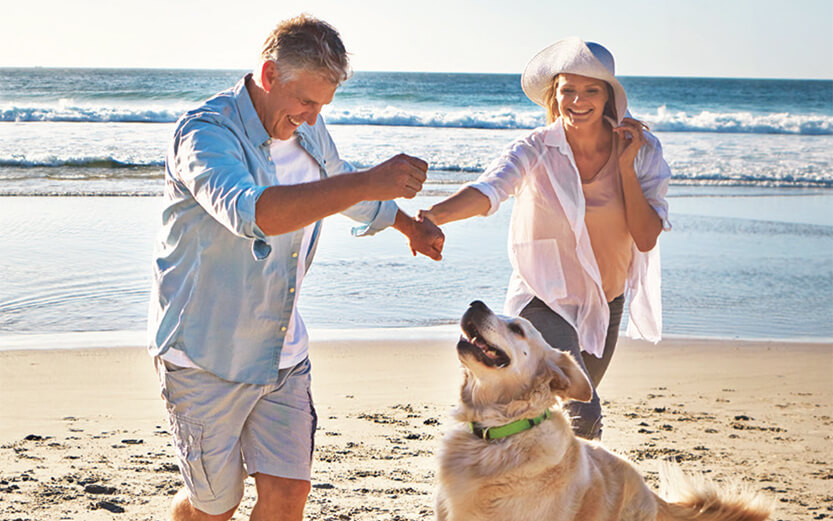 A couple on the beach playing with their dog