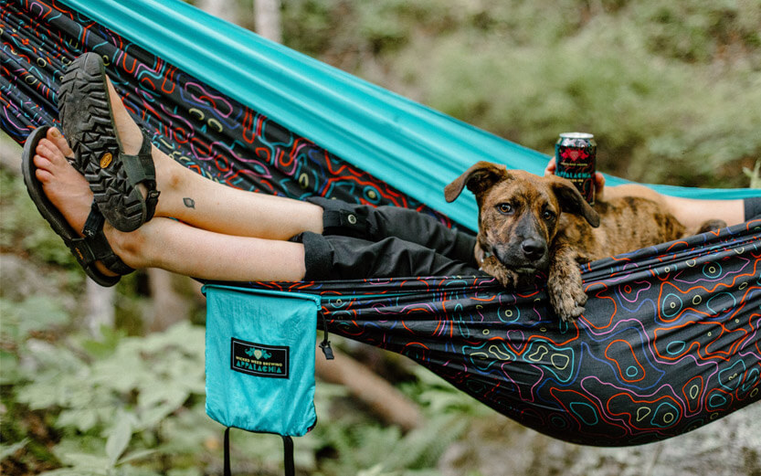 a dog laying in a hammock with it's person
