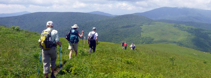 a group of hikers walking through green hills