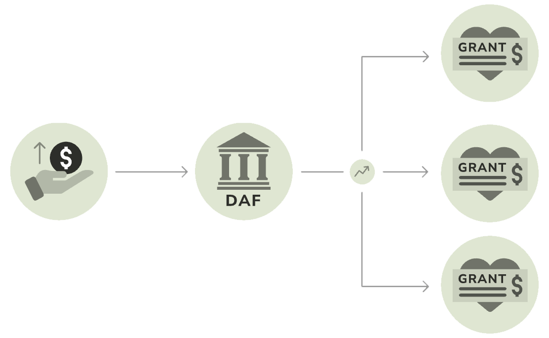 donor advised funds infographic