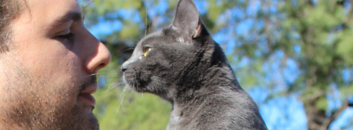 a man looking at his gray cat