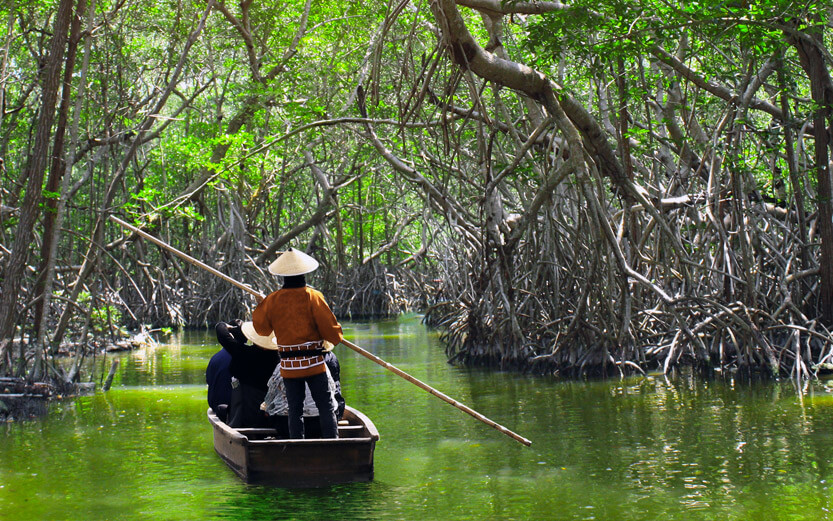 a person steering a boat down a river in vietnam