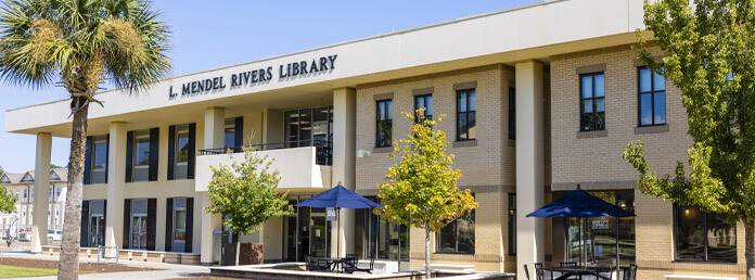 Mendel Rivers library