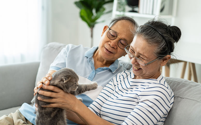 Asian senior couple stroking and play with domestic cat in living room. Happy family, Attractive elderly mature man and woman grandparents sit on sofa, spend free leisure time with their pet in house.