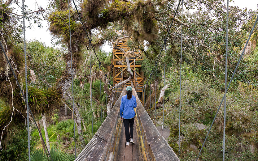 person doing a canopy walk