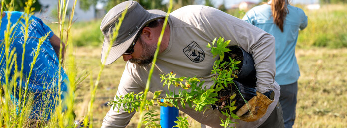 man planting plants