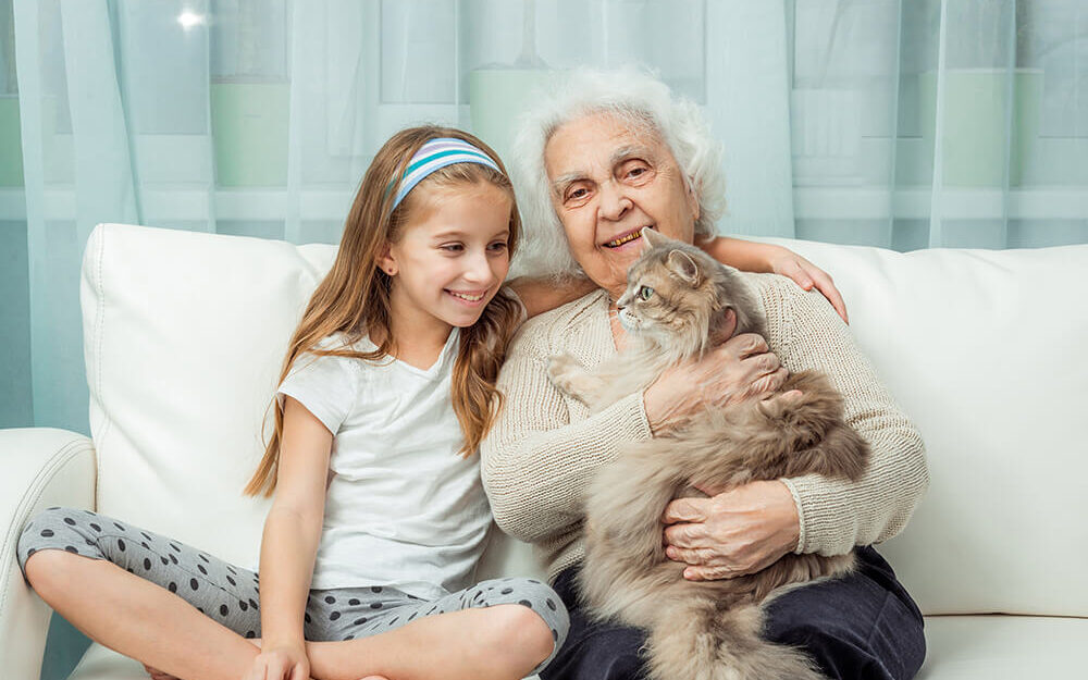 little girl with grandmother playing with cat