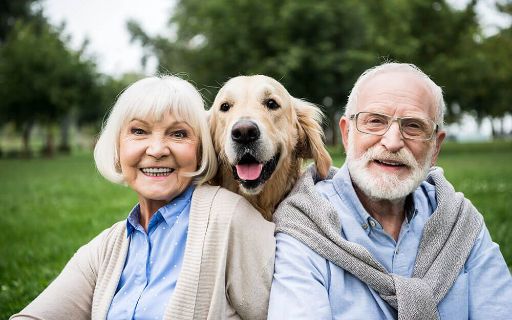 happy senior couple with golden retriever
