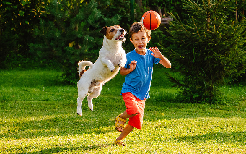 A young boy and a small dog jump joyfully on a green lawn with a basketball floating above