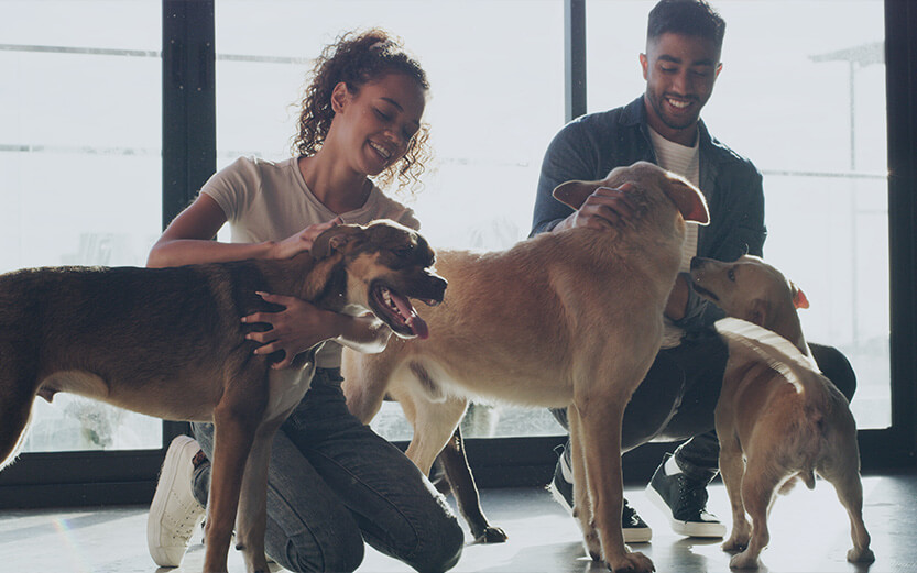 Two people kneel indoors, smiling and petting three dogs of different sizes in front of large windows