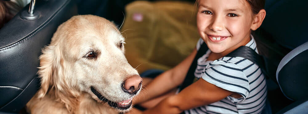 Girl and dog in backseat of car