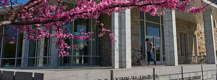 college library with cherry blossoms in the foreground