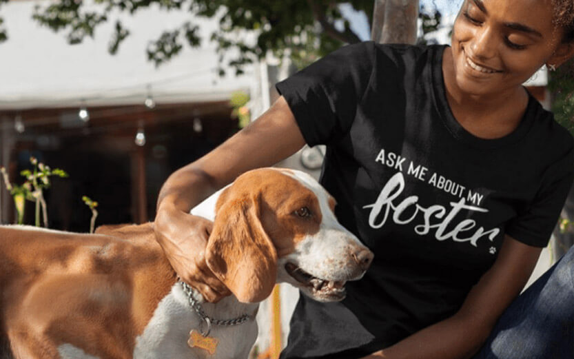 girl in a black tshirt smiling and petting a beagle foster dog