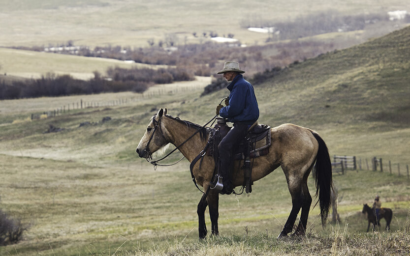 cowboy riding a light-colored horse through a rolling, grassy rural landscape
