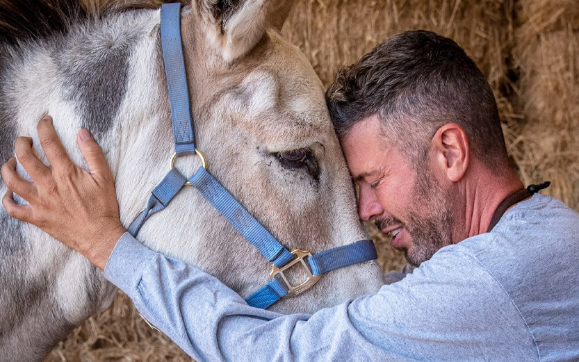 Ron King Donkey King promo photo