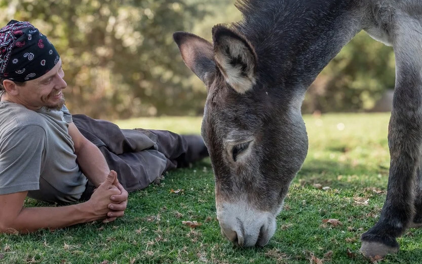 a man laying on the grass smiling at a donkey with its nose on the ground