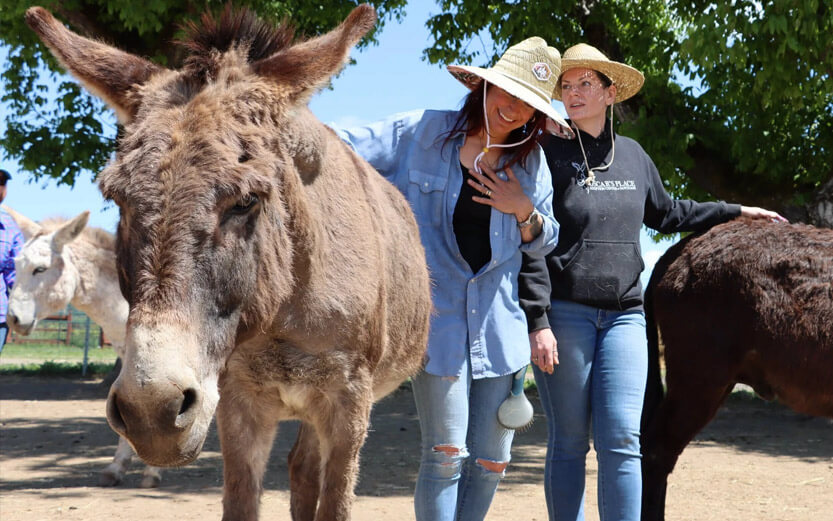 two women in straw hats smiling at a brown donkey