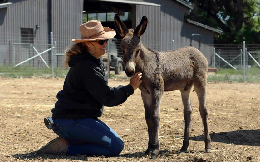 a woman in a western hat petting a baby donkey