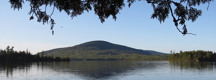 A wide, scenic panoramic view of a calm lake with a forested mountain rising in the background under a clear sky. Dense green trees line the far shores of the water, while dark evergreen evergreen branches frame the top of the image.