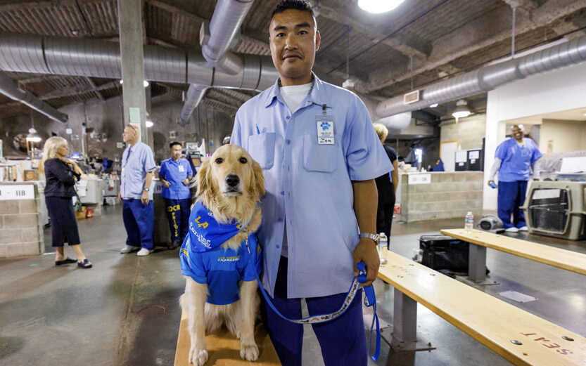 LA Chargers service dog River with trainer