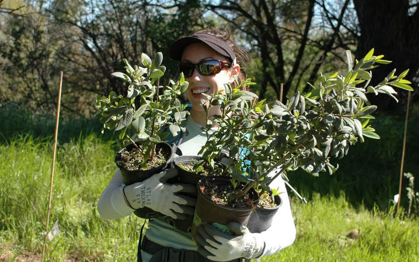 woman holding plants