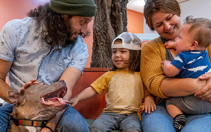 family of four smiling with their brown dog