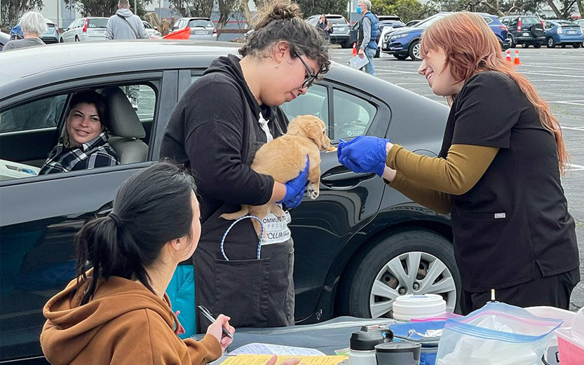 volunteers working at a mobile pet clinic