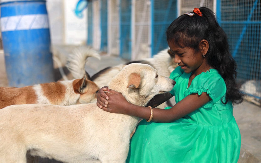 a smiling young girl wearing a green dress with her arms around a yellow dog