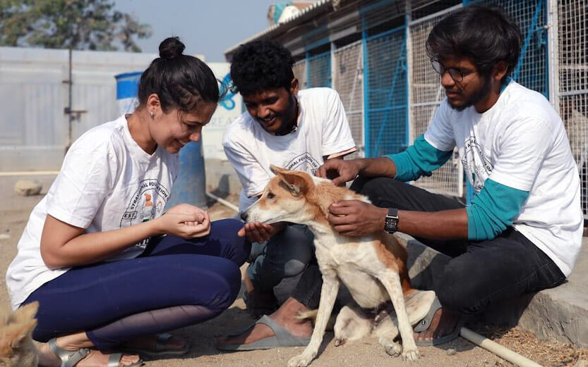 three SAFI staff kneeling around and petting a cute dog
