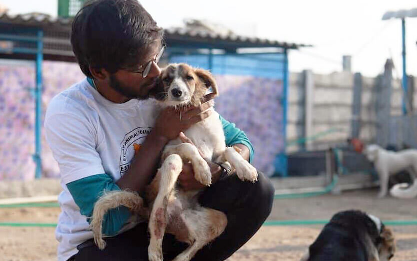 a man with glasses crouching down ahd giving some love to a rescued dog with wounds