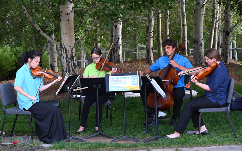 string ensemble performers outdoors