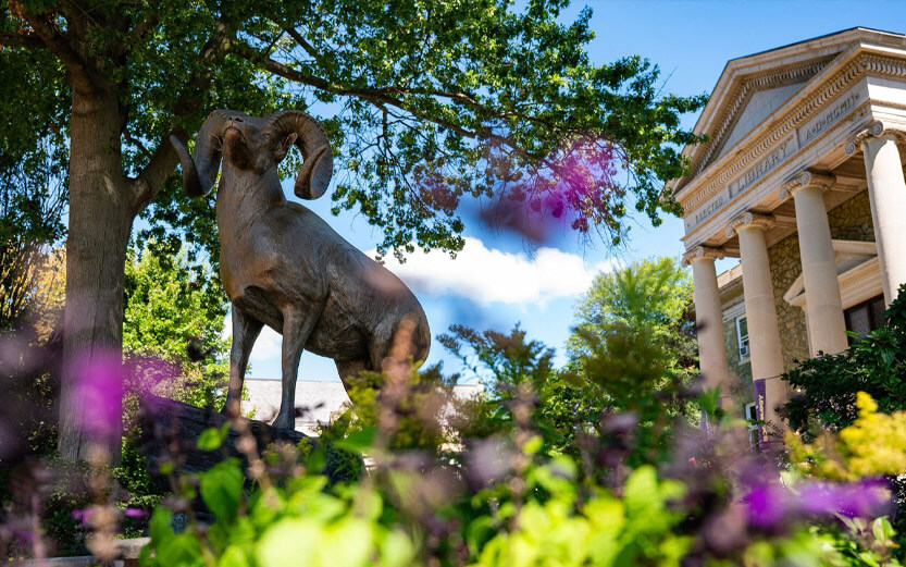 a statue of a ram with the school library in the background