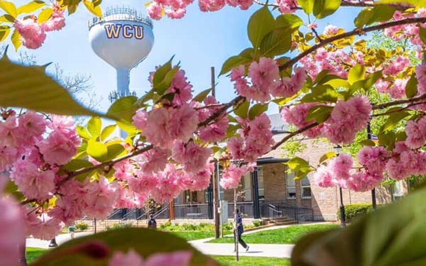 the WCU water tower with pink blossoms in the foreground