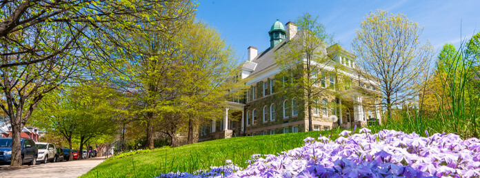 a school building with lavender flowers in the foreground