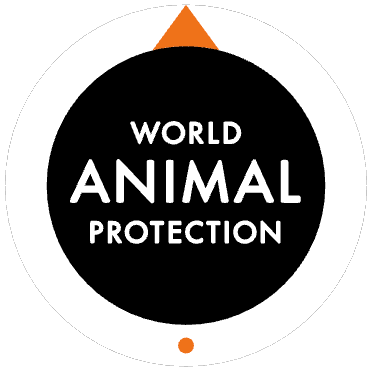 Planned Giving - World Animal Protection