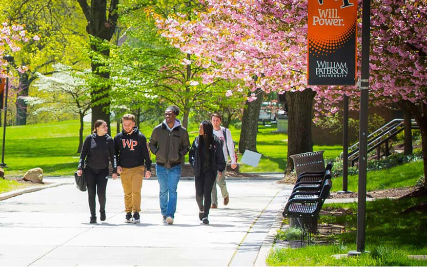 a group of students walking on campus with blossoming cherry trees in the background